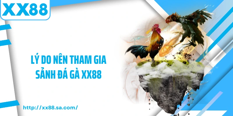 Lý do nên tham gia sảnh đá gà XX88
