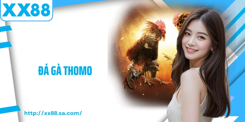 Đá gà thomo