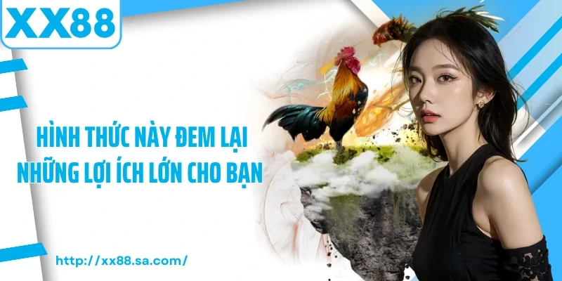 Trải Nghiệm Trực Tiếp Đá Gà Đỉnh Cao Cùng Các Linh Kê 4 Hình thức này đem lại những lợi ích lớn cho bạn