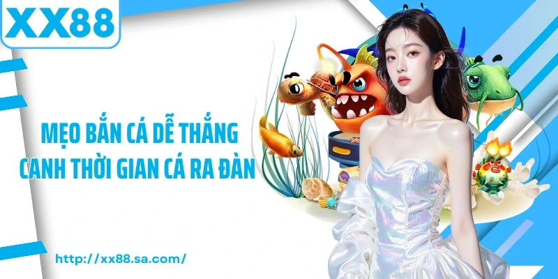 Mẹo Bắn Cá Dễ Thắng Chuẩn Từ Các Chuyên Gia Hàng Đầu 3 Mẹo bắn cá dễ thắng canh thời gian cá ra đàn