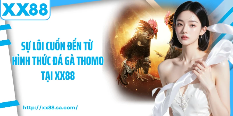 Sự lôi cuốn đến từ hình thức đá gà thomo tại XX88